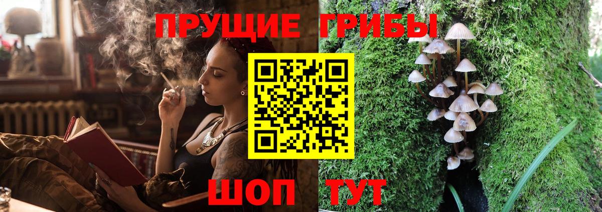 Галлюциногенные грибы Psilocybine cubensis  Вход с VPN  Лесной  Псилоцибиновые грибы Cubensis 